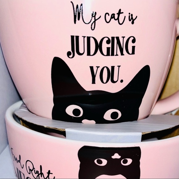 ***SOLD***  “My Cat is Judging You” Pink Cat Bowl & Mug Set - Picture 7 of 11